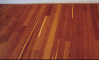 Caribbean Pine flooring installed, older wood